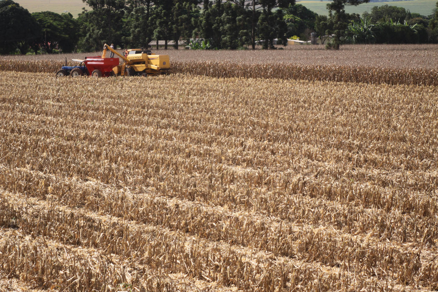  Paraná deverá produzir 37,3 milhões de toneladas de grãos