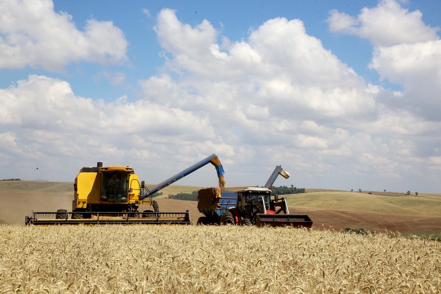  Safra de grãos do Paraná deve alcançar 23,4 milhões de toneladas