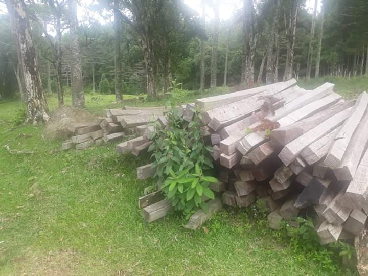  Policiais de 27° BPM localizam madeira ilegal em Mallet