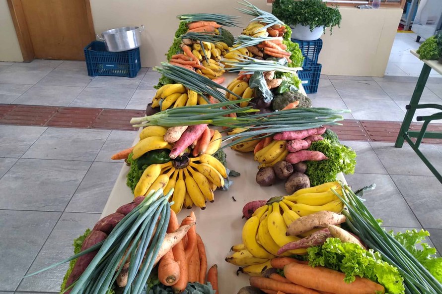  Governo lança edital para compra direta de alimentos da agricultura familiar no Paraná