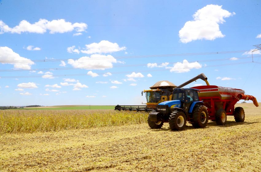  Paraná deverá produzir 40 milhões de toneladas de grãos