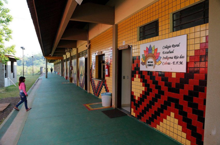  PSS de professores de escolas indígenas abre inscrições