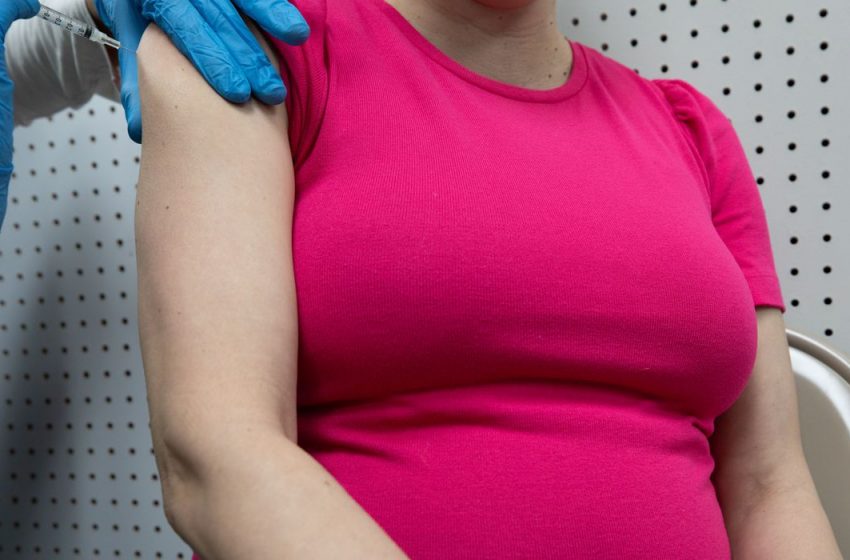  Vacinação de grávidas contra covid-19 pode proteger bebês