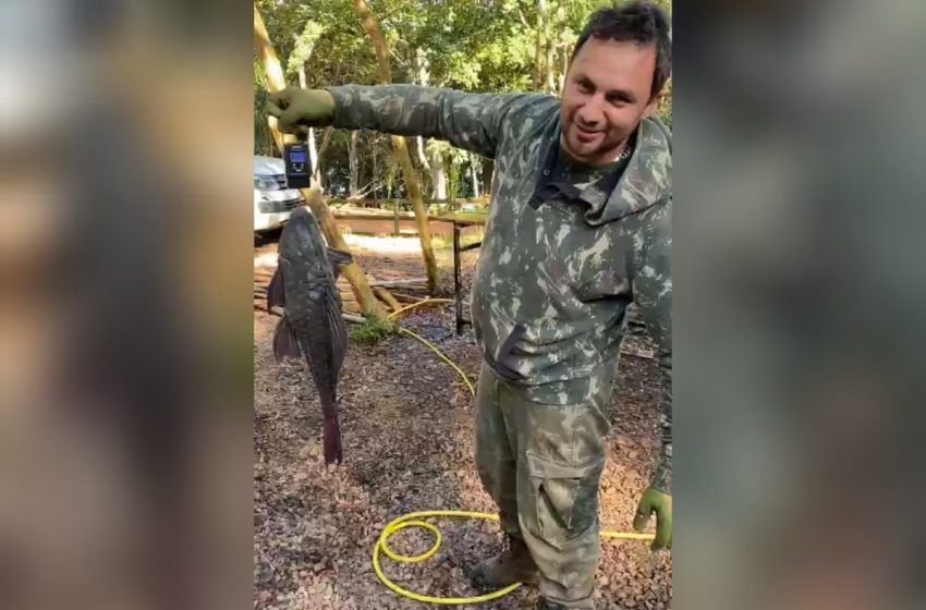  Pescador profissional fisga cascudo com 75 centímetros e mais de 5 kg