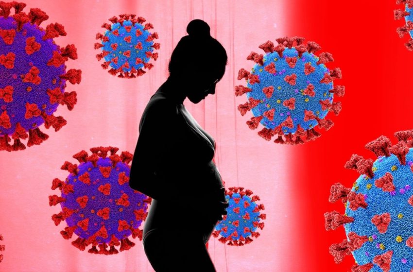  Estudo mostra efeitos da covid-19 na placenta e reflexos nos fetos