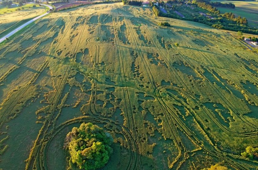  Imagens de drone mostram agroglifos em plantações às margens da PR 427, na Lapa