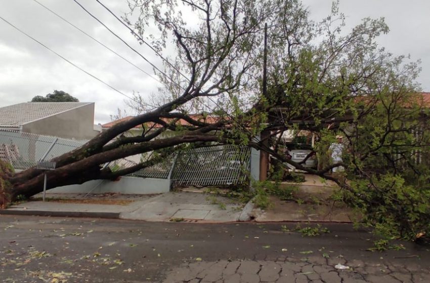  Chuvas danificaram 3 mil casas e derrubaram mais de 900 postes no Paraná