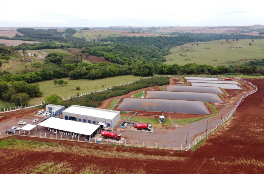  Paraná investe em programas para tornar o setor agropecuário cada vez mais sustentável
