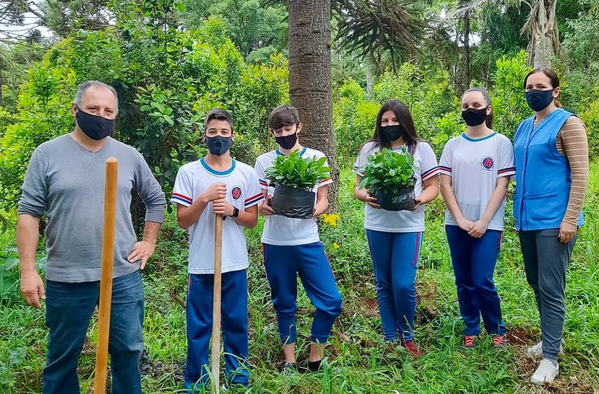  Projeto de plantio de erva-mate tem início em São Mateus do Sul em parceria com escola do Campo