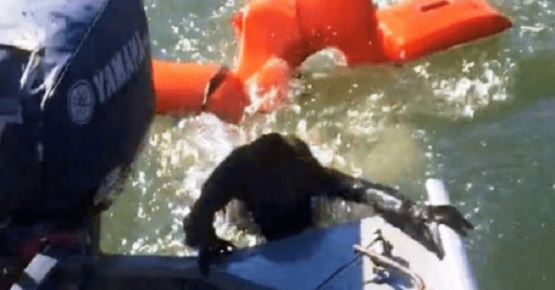  Pescador joga colete salva-vidas para salvar cachorro que está se afogando, mas “não é um cachorro”