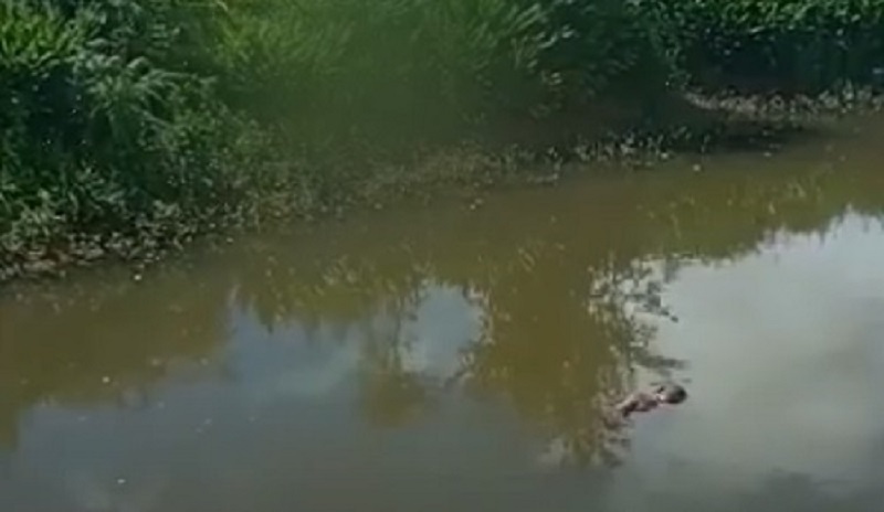  Corpo encontrado boiando em rio de Cruz Machado é de um homem