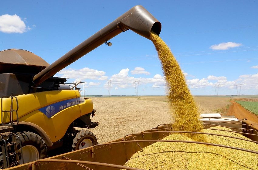 Safra de grãos brasileira tem expectativa recorde, contrapondo a estiagem no Paraná