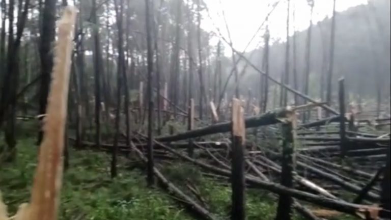  Tornado deixa rastros de destruição em município do RS