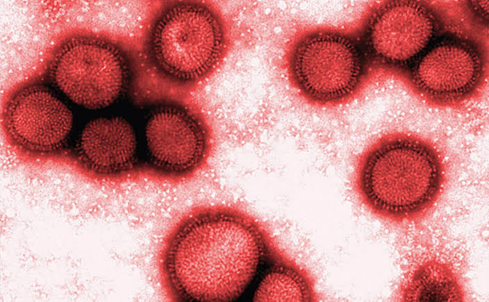  Paraná declara estado de epidemia de H3N2 e reforça importância da vacinação