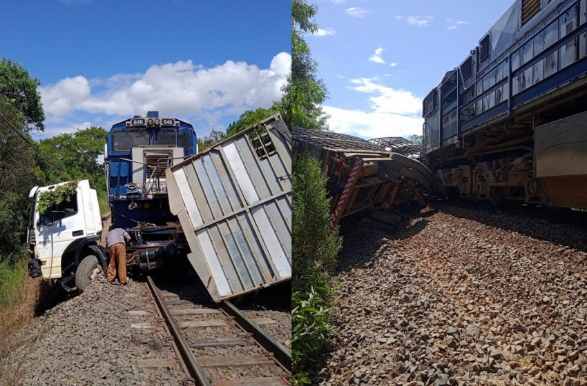 Acidente: trem bate em caminhão com porcos no Paraná