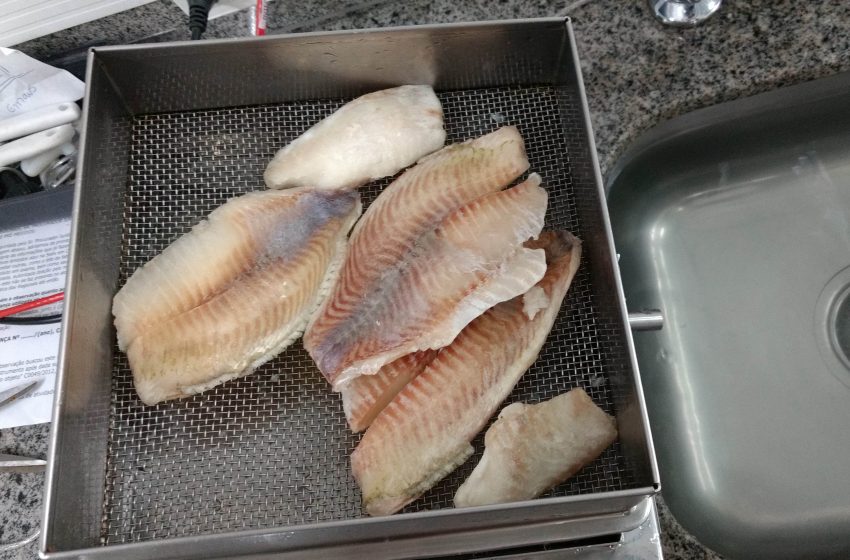  Ipem Paraná alerta consumidores sobre cuidados na compra de pescados