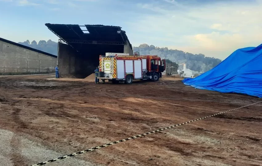  Trabalhador morre após ser soterrado por serragem em fábrica no Paraná
