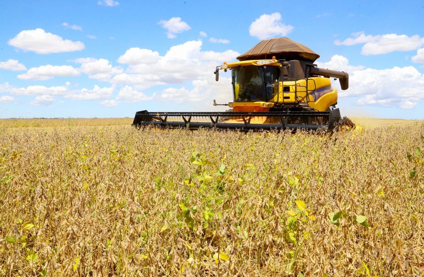  Condições climáticas influenciam queda estimada de 43% na produção de soja no Paraná