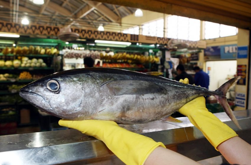  Vigilância Sanitária alerta sobre cuidados na compra de pescados para a Semana Santa￼