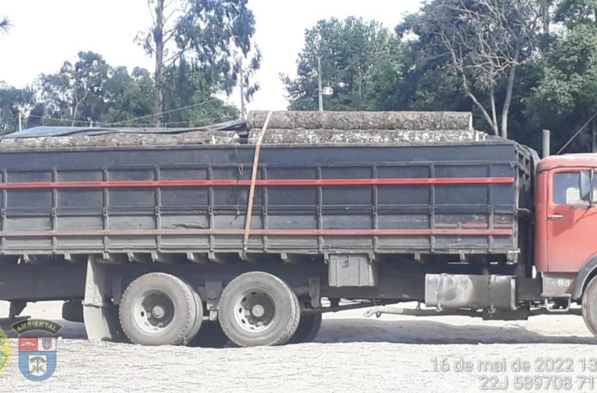  Polícia Ambiental apreende caminhão transportando toras de araucária irregularmente em Palmeira