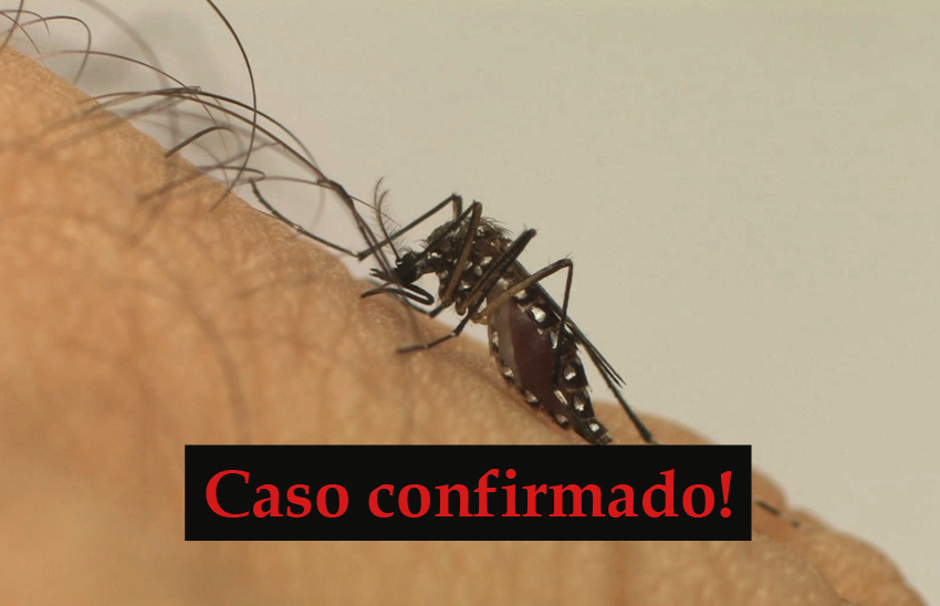  Após suspeita e exame laboratorial, Palmeira confirma dois casos de dengue com infecção local