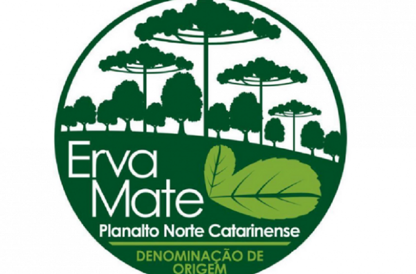  Erva-mate do Planalto Norte catarinense conquista certificação de Indicação Geográfica