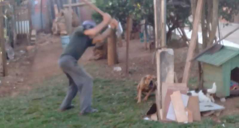  Idoso é acusado de maus-tratos contra cachorro no bairro Bom Jesus em União da Vitória