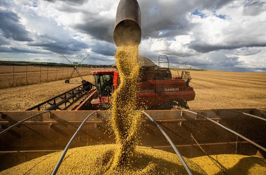  Projeção final da safra agrícola brasileira ruma para novo recorde na produção de grãos