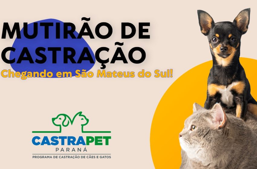  Programa do governo do estado CASTRAPET estará em São Mateus do Sul