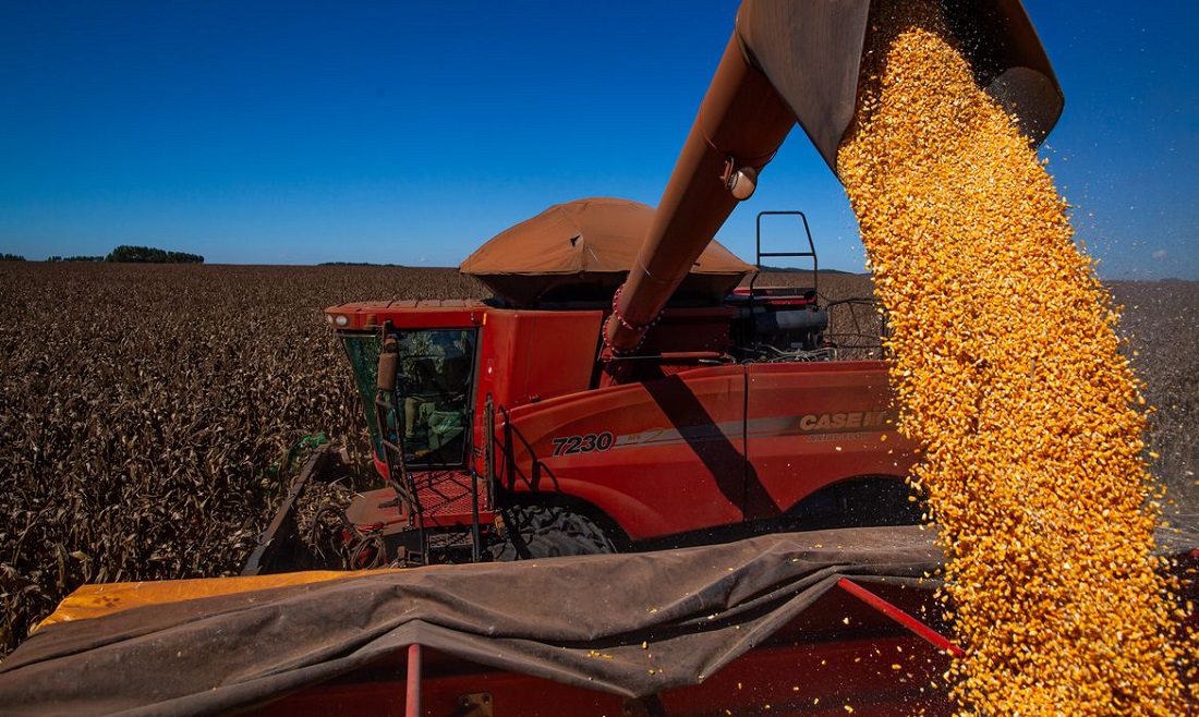  Brasil mantém bons estoques de soja, milho, trigo e algodão, segundo levantamento divulgado