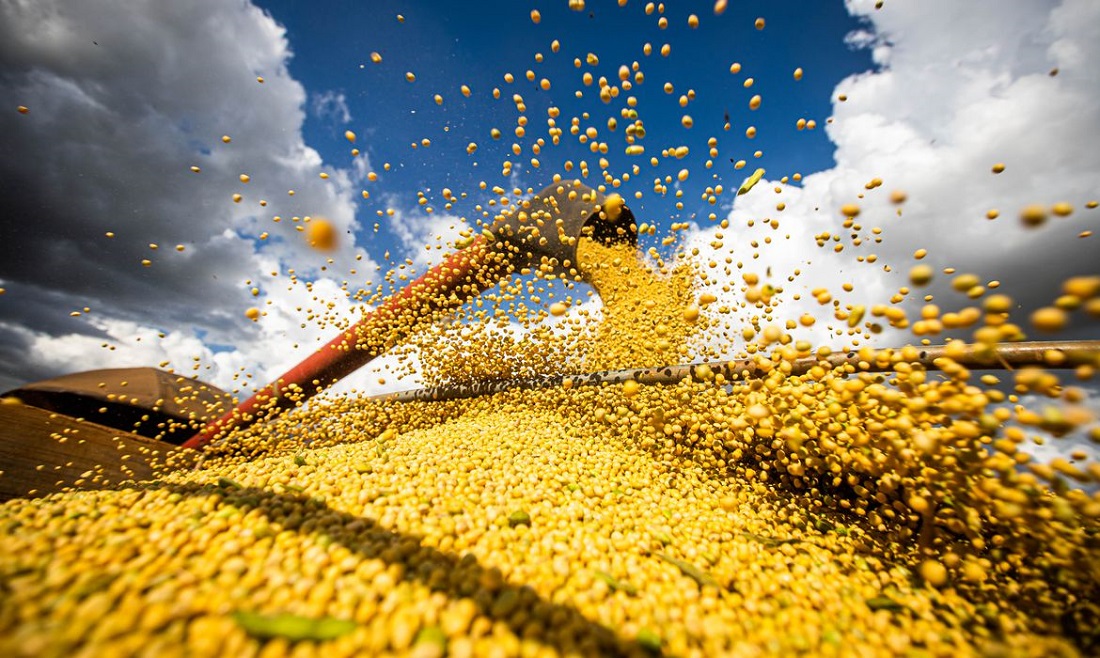  Produção de grãos do Brasil deve superar a casa das 300 milhões de toneladas na próxima safra