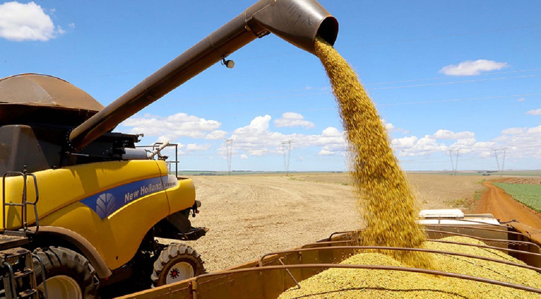  Exportações de milho quase dobram e da soja diminuem entre o 1º semestre de 2021 e 2022