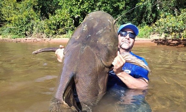  Pescadores capturam Jaú de 1,60 metros e 80 quilos no rio Paraná