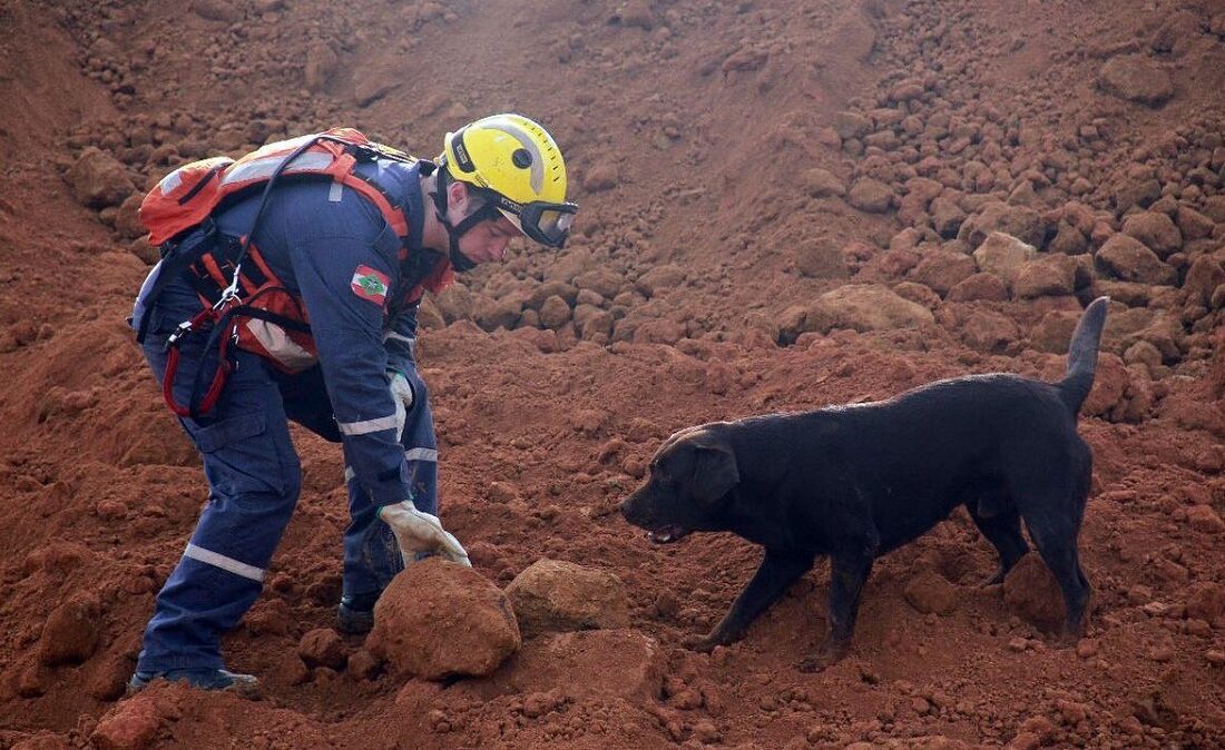  Corpo de Bombeiros de Santa Catarina emite boletins sobre a gravidade do deslizamento de terras no PR