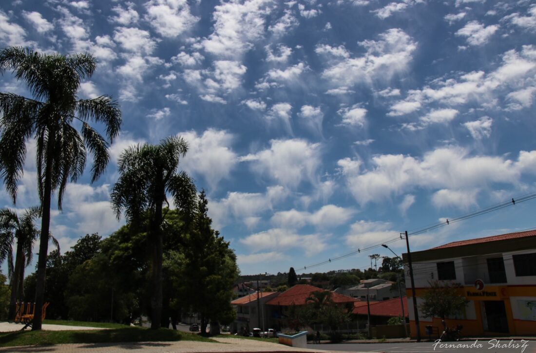  Fotógrafa registra nuvens raras de “água-viva” em Rio Azul; confira as fotos