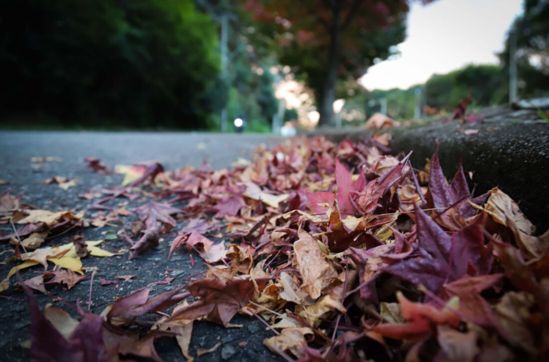  Simepar prevê outono “típico” com variações de temperatura