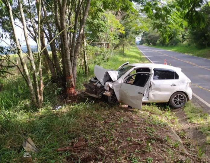  Jovem de 22 anos morre após carro colidir em árvore