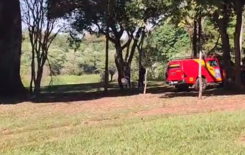  Criança de 2 anos desaparece após ser deixada em carro em parque de cidade Paranaense