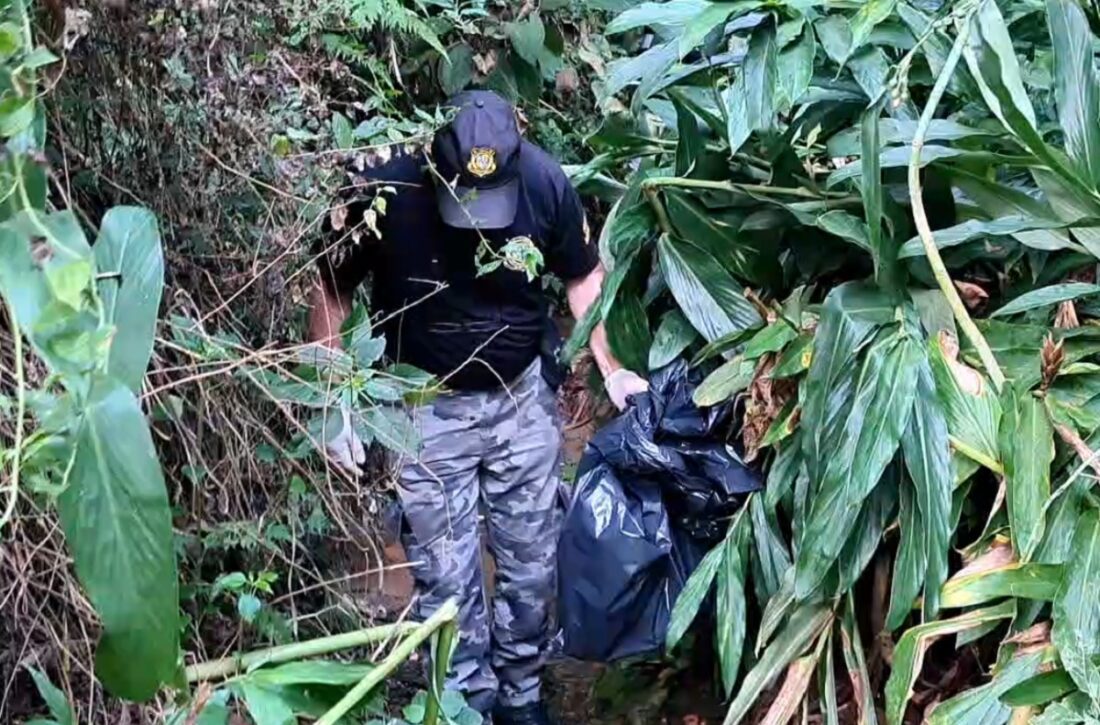 Ossada é encontrada em Ponta Grossa e pode ser de mulher desaparecida