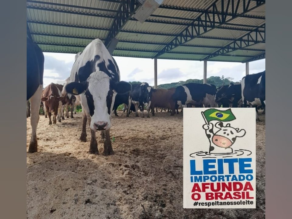  Produtores de leite de São Mateus do Sul aderem a  campanha “Não ao Leite Importado”