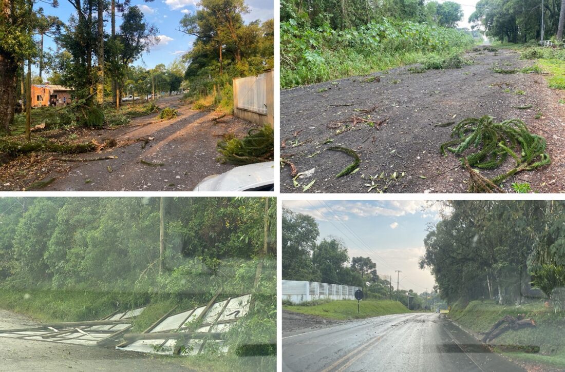  Vendaval derruba placas e galhos de árvores em São Mateus do Sul. Choveu na região