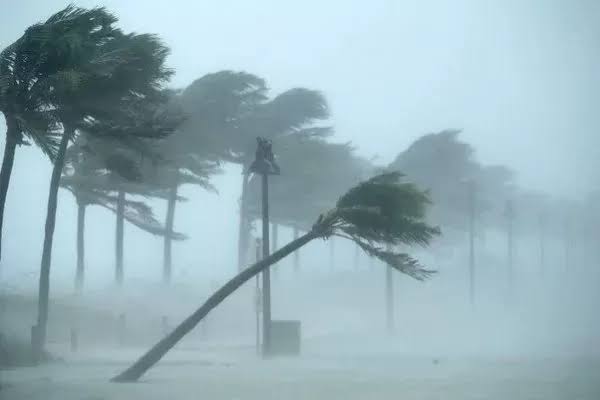  Defesa Civil de SC alerta para fortes tempestades e rajadas de vento de até 100 km/h nas próximas horas