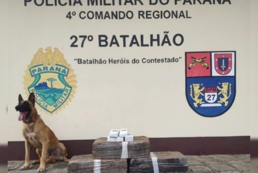  Mais de 50kg de drogas foram apreendidas em perseguição policial em União da Vitória e Porto Vitória