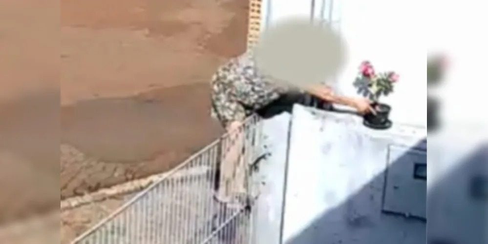  VÍDEO: mulher escala portão e furta planta em muro de casa no Paraná