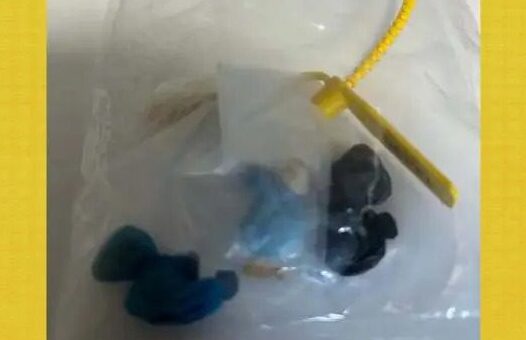  Funcionária de creche encontra crack em mochila de criança de dois anos no Paraná