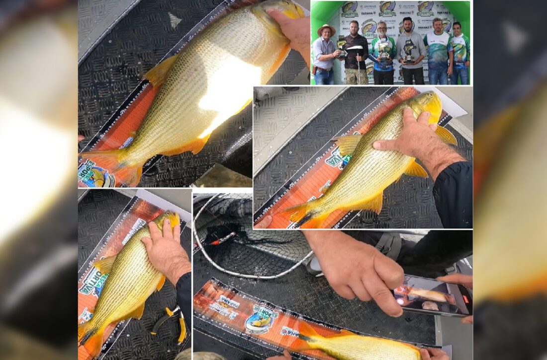 Equipe são-mateuense Pesca Tudo conquista dois 1ºs lugares no campeonato de pesca em Cruz Machado