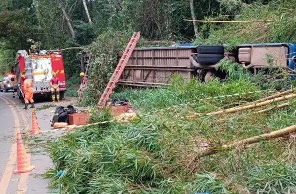  Tragédia na estrada: Ônibus tomba após motorista desviar de cachorro e deixa sete mortos