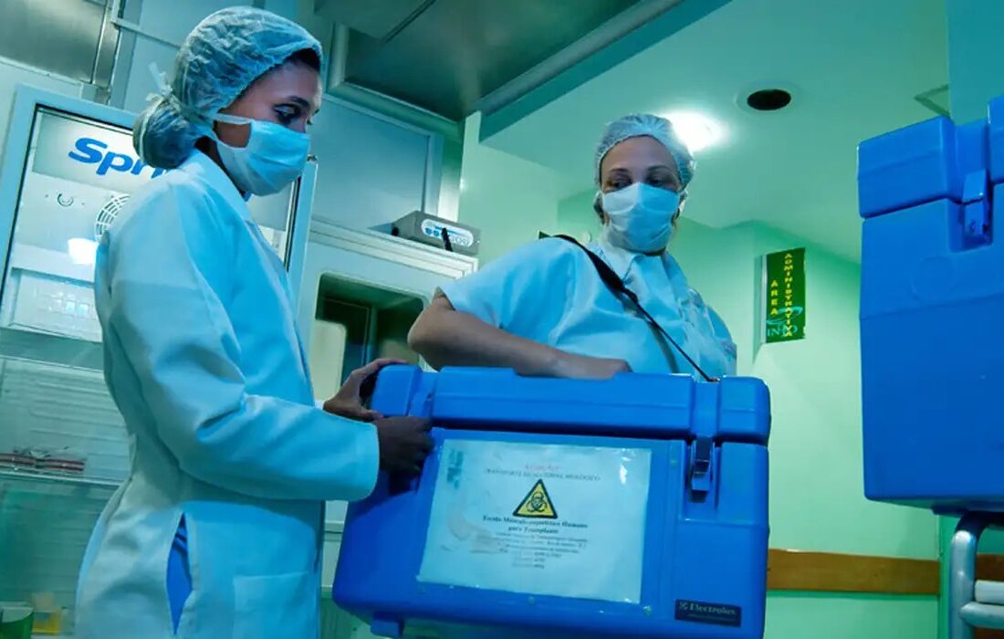  Cartórios de todo o País podem preencher autorização para doação de órgãos