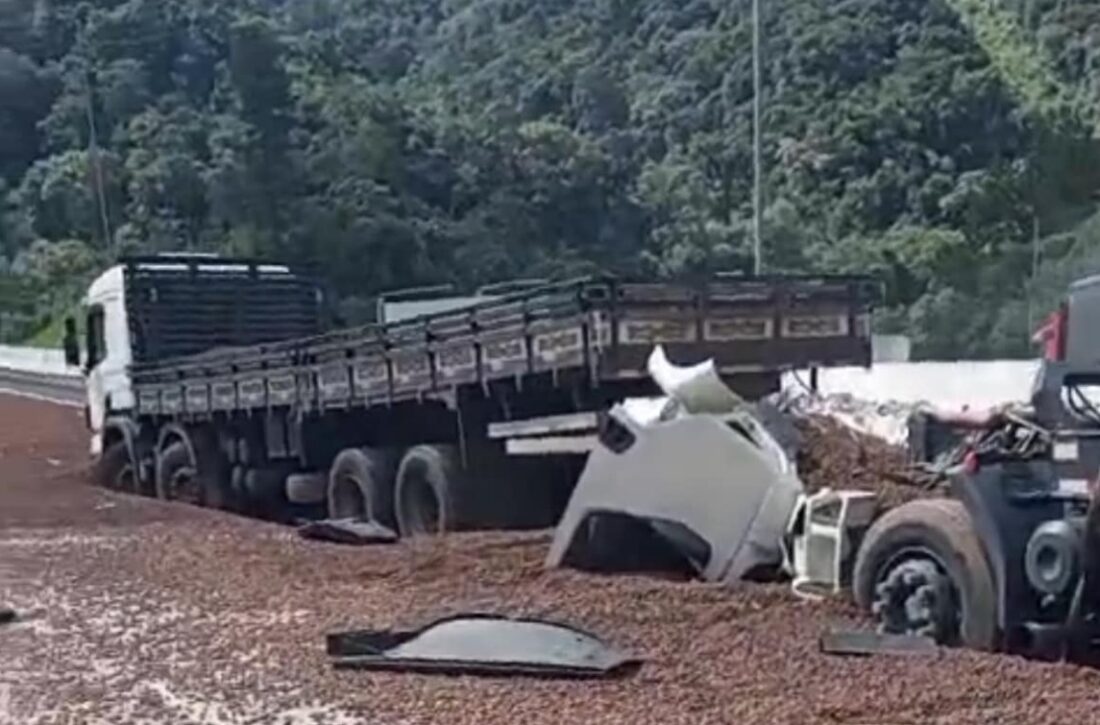  Caminhoneiro morre esmagado pelo próprio caminhão na Serra do Mar, em SC