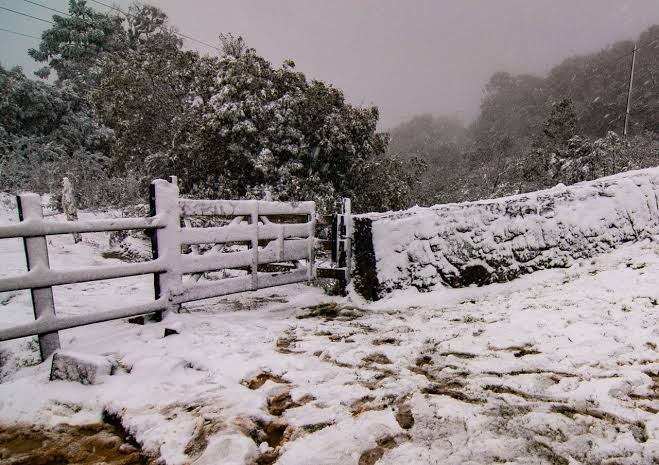  Paraná, Santa Catarina e Rio Grande do Sul têm possibilidade de neve; veja quando
